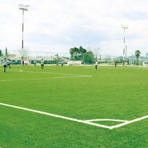CCGrass professional synthetic grass field design