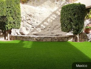 Beautiful-Front-and-Backyards-Lawns-1