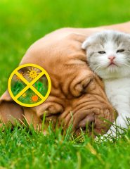 Dòng Sản Phẩm Kháng Khuẩn