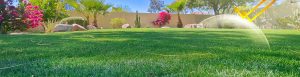 UV-DEFENDER-BANNER-1