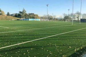 CEM-Vall-de-Hebron-3G-Pitch-Spain