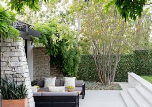 Garden-Transformation