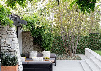 Garden-Transformation