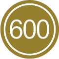 Hơn 600